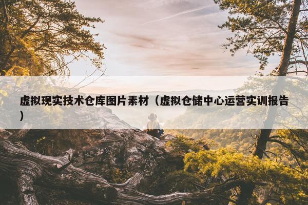 虚拟现实技术仓库图片素材（虚拟仓储中心运营实训报告）
