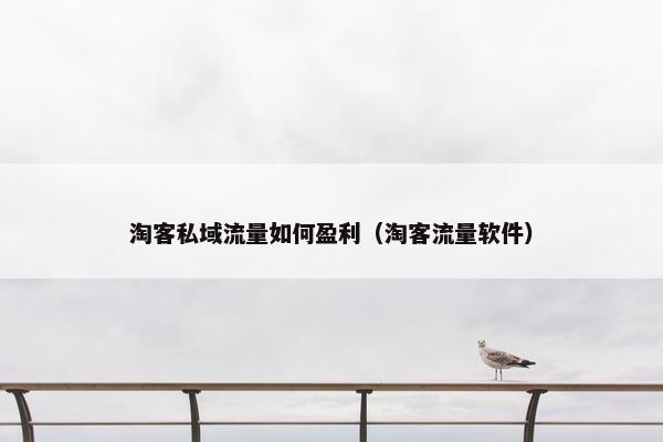 淘客私域流量如何盈利（淘客流量软件）