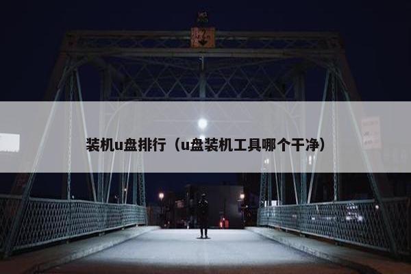 装机u盘排行（u盘装机工具哪个干净）