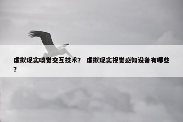 虚拟现实嗅觉交互技术？ 虚拟现实视觉感知设备有哪些？