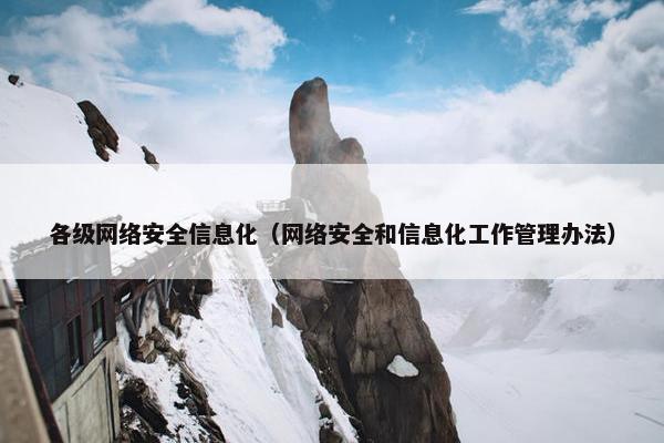 各级网络安全信息化（网络安全和信息化工作管理办法）