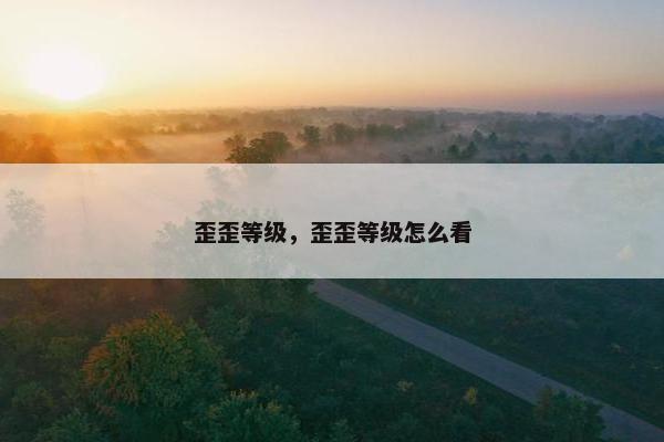 歪歪等级，歪歪等级怎么看