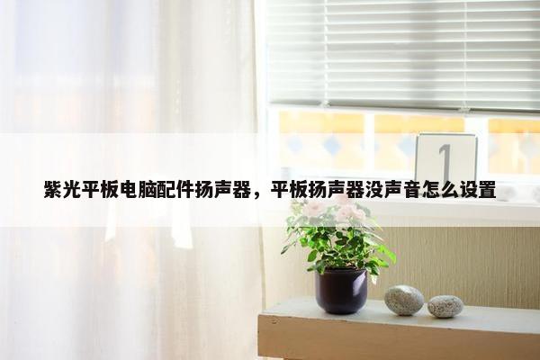 紫光平板电脑配件扬声器，平板扬声器没声音怎么设置
