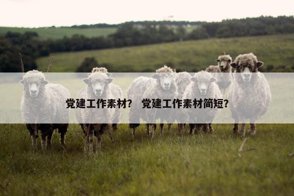 党建工作素材？ 党建工作素材简短？