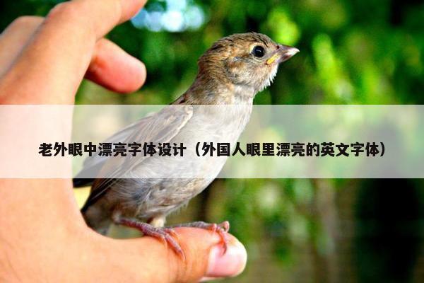 老外眼中漂亮字体设计（外国人眼里漂亮的英文字体）