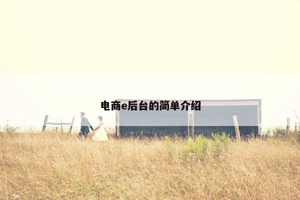 电商e后台的简单介绍