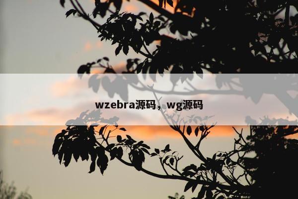 wzebra源码，wg源码
