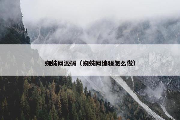 蜘蛛网源码（蜘蛛网编程怎么做）