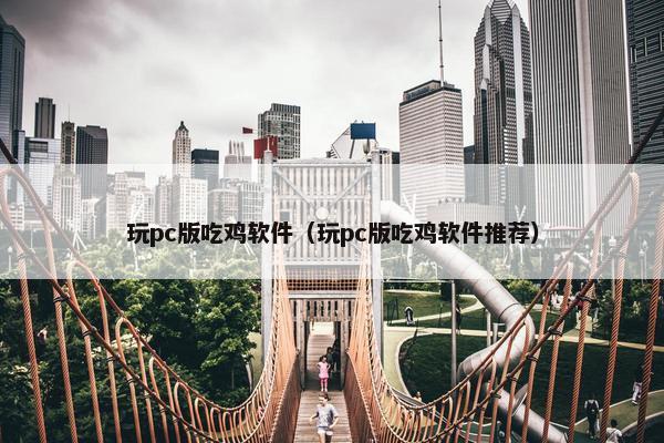玩pc版吃鸡软件（玩pc版吃鸡软件推荐）