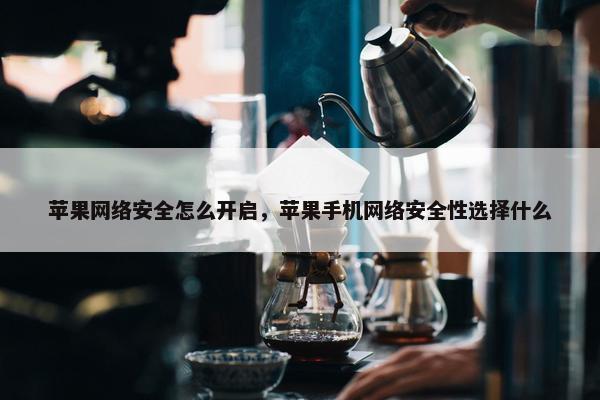 苹果网络安全怎么开启，苹果手机网络安全性选择什么