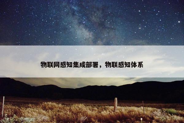 物联网感知集成部署，物联感知体系