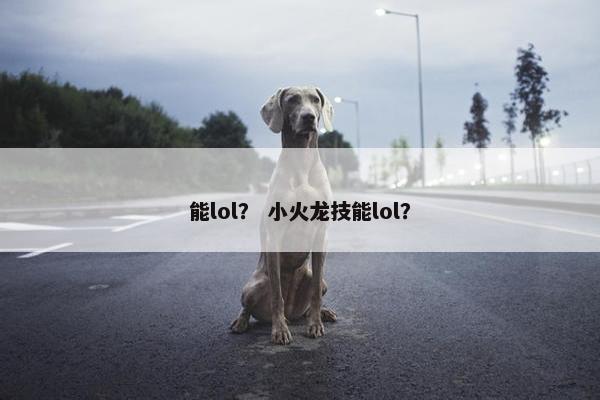 能lol？ 小火龙技能lol？
