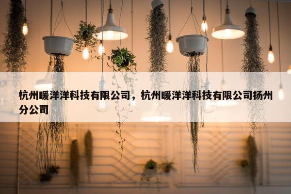 杭州暖洋洋科技有限公司，杭州暖洋洋科技有限公司扬州分公司