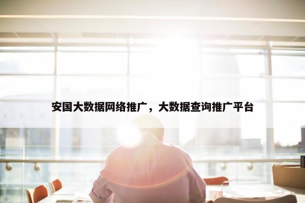 安国大数据网络推广，大数据查询推广平台