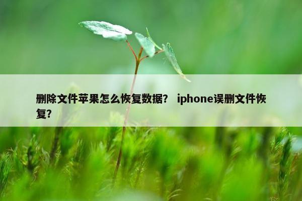 删除文件苹果怎么恢复数据？ iphone误删文件恢复？