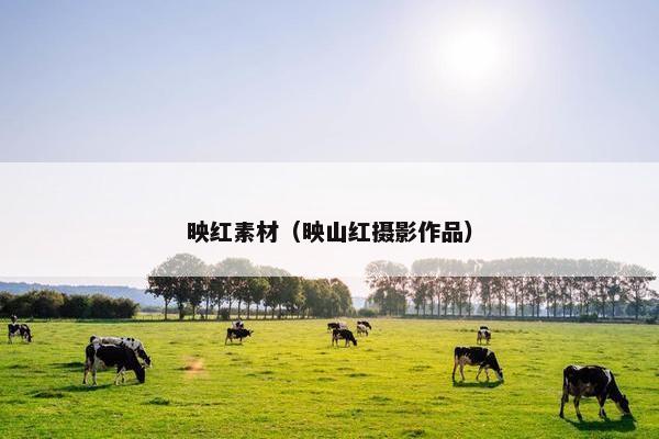 映红素材（映山红摄影作品）