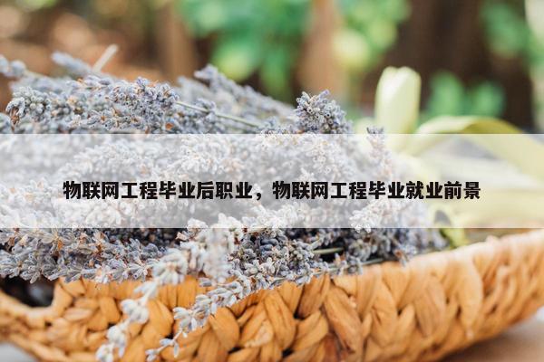 物联网工程毕业后职业，物联网工程毕业就业前景