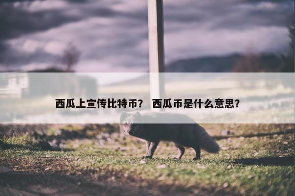 西瓜上宣传比特币？ 西瓜币是什么意思？