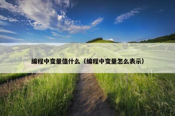 编程中变量值什么（编程中变量怎么表示）