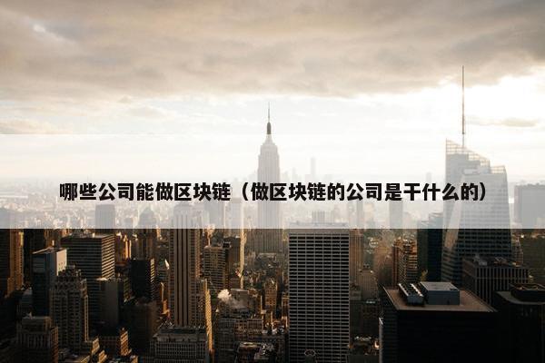 哪些公司能做区块链（做区块链的公司是干什么的）
