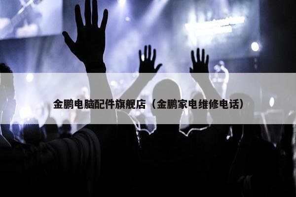 金鹏电脑配件旗舰店（金鹏家电维修电话）