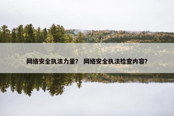 网络安全执法力量？ 网络安全执法检查内容？