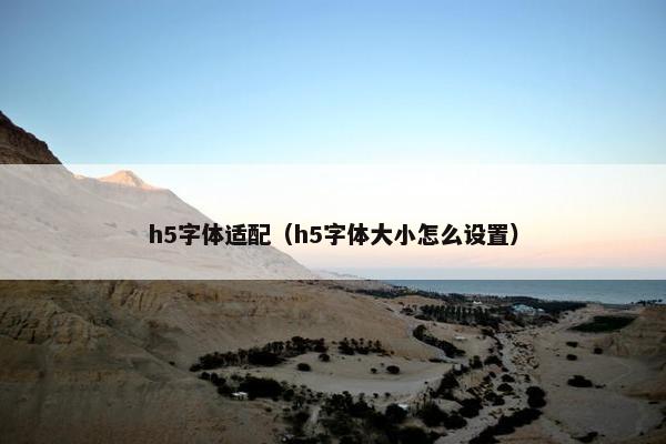 h5字体适配（h5字体大小怎么设置）