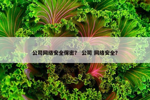 公司网络安全保密？ 公司 网络安全？