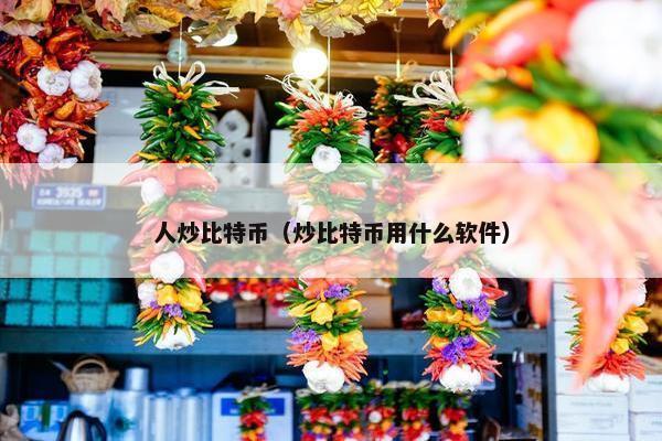 人炒比特币（炒比特币用什么软件）