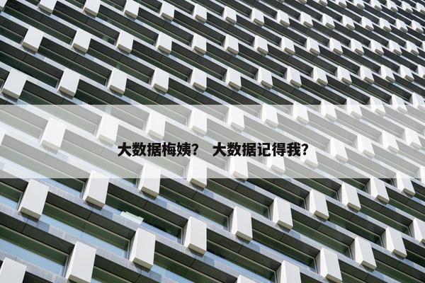大数据梅姨？ 大数据记得我？