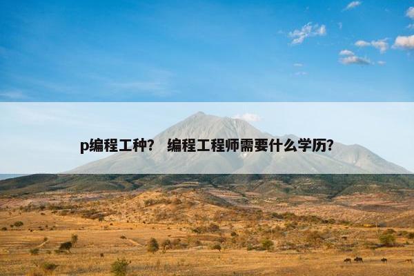 p编程工种？ 编程工程师需要什么学历？