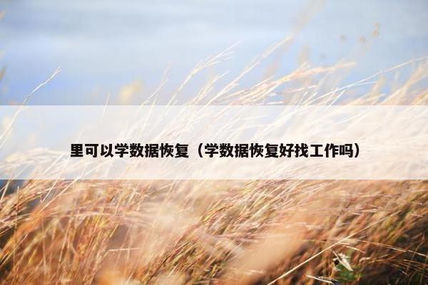 里可以学数据恢复（学数据恢复好找工作吗）
