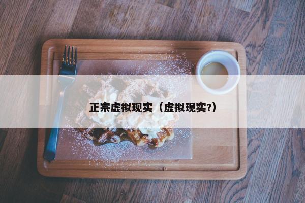 正宗虚拟现实（虚拟现实?）