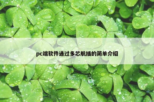pc端软件通过多芯航插的简单介绍