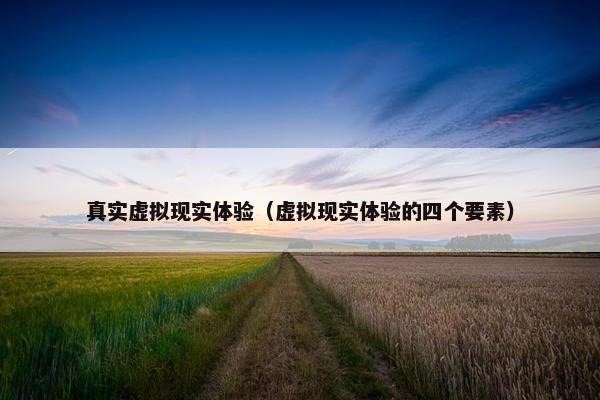 真实虚拟现实体验（虚拟现实体验的四个要素）