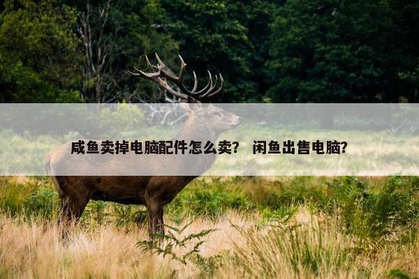 咸鱼卖掉电脑配件怎么卖？ 闲鱼出售电脑？