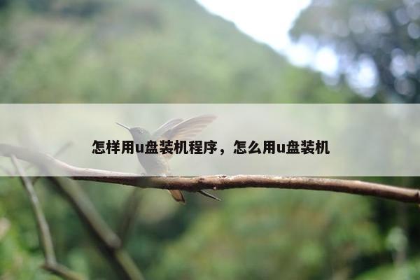 怎样用u盘装机程序，怎么用u盘装机