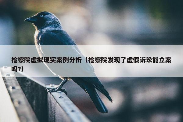 检察院虚拟现实案例分析（检察院发现了虚假诉讼能立案吗?）