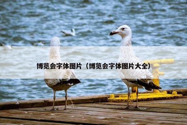博览会字体图片（博览会字体图片大全）