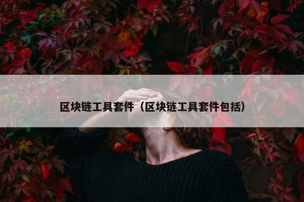 区块链工具套件（区块链工具套件包括）