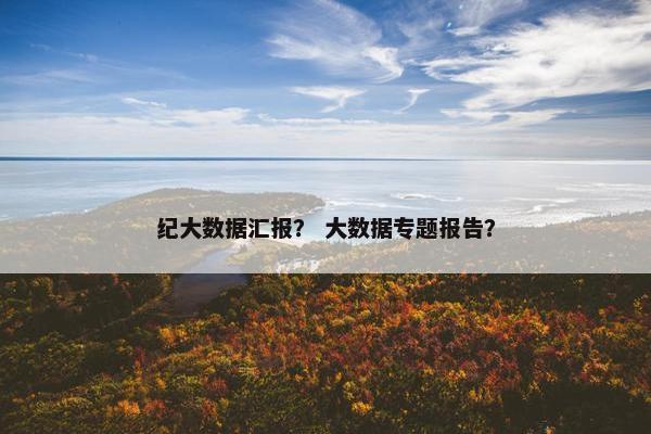 纪大数据汇报？ 大数据专题报告？