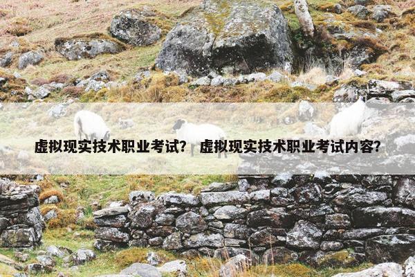 虚拟现实技术职业考试？ 虚拟现实技术职业考试内容？
