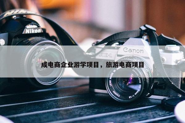 成电商企业游学项目，旅游电商项目