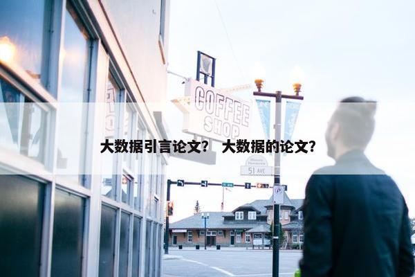 大数据引言论文？ 大数据的论文？