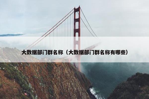 大数据部门群名称（大数据部门群名称有哪些）