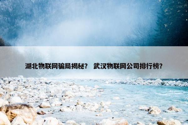 湖北物联网骗局揭秘？ 武汉物联网公司排行榜？