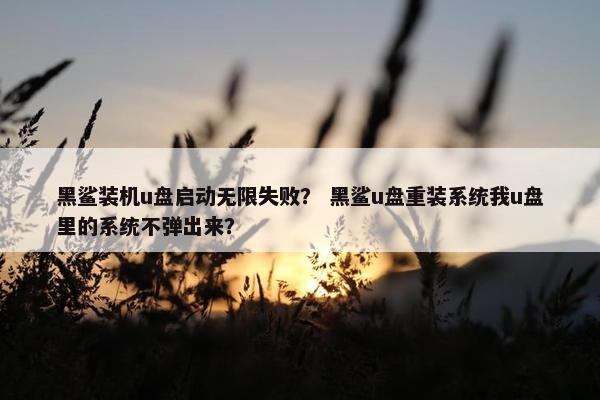 黑鲨装机u盘启动无限失败？ 黑鲨u盘重装系统我u盘里的系统不弹出来？