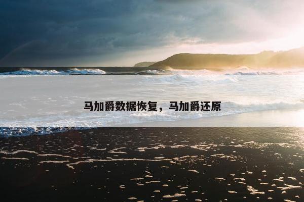 马加爵数据恢复，马加爵还原
