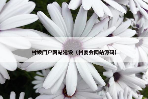 村级门户网站建设（村委会网站源码）