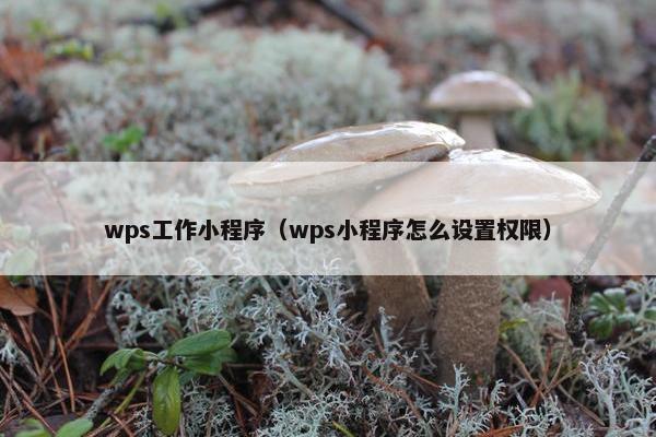 wps工作小程序（wps小程序怎么设置权限）